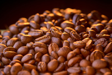 coffee beans on a dark background