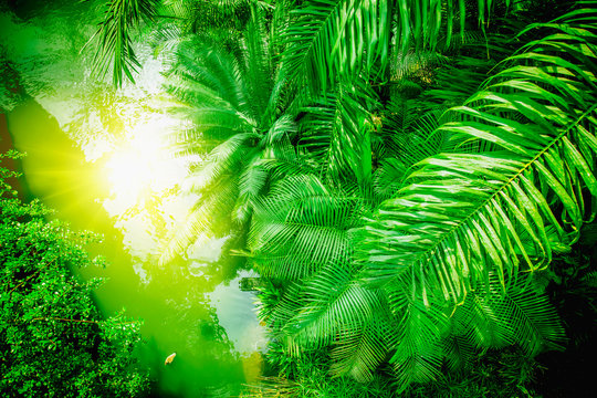 The Wild Nature. Top View Of Beautiful Green Landscape Of Tropical Forest With The River With Reflection Of Sunlight.