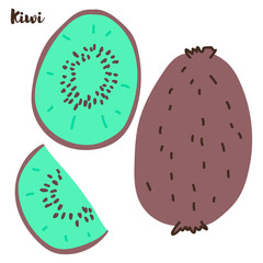 Set of fruits. Summer fruit collection. Fruits kiwi. Vegetarian and ecology food. Vector illustration.