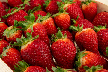 strawberry fruit close up shoot