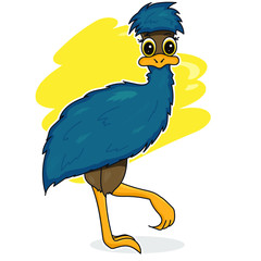 Australian drawn emu character. Vector abc