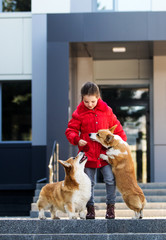 happy girl and family corgi dog together