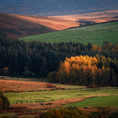 autumn landscape in the mountains