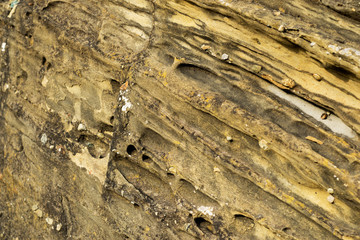 The texture of the stone. Back background.