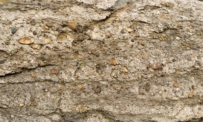 The texture of the stone. Back background.