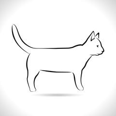 Vector of cat , walking, playing, different graphic images of cats, Isolated on theWhite background.