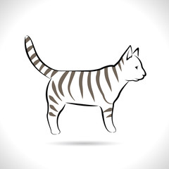 Fototapeta na wymiar Vector of cat , walking, playing, different graphic images of cats, Isolated on theWhite background.