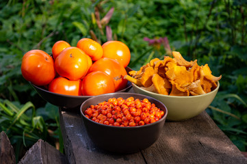 wild mushrooms in a bowl