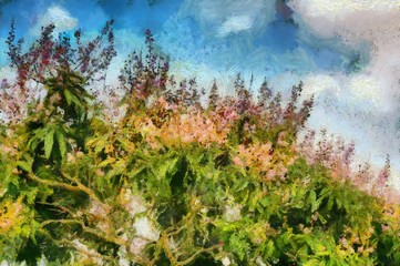 The tree has a small pink flower rising up in the sky Illustrations creates an impressionist style of painting.