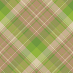 Seamless pattern in fascinating cute brown and green colors for plaid, fabric, textile, clothes, tablecloth and other things. Vector image. 2
