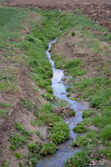Pequeña vereda en campos de cultivo