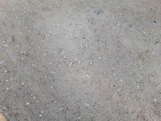 Cherry Blossom petal simple image