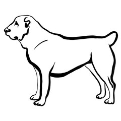 Dog illustration. Animal silhouette 