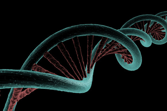 View Of Dna Helicoidal Chain Strand, 3d Rendering