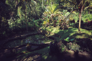 Paisaje playa naturaleza en Bali 