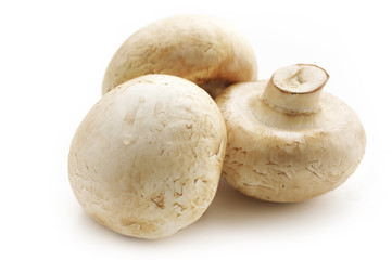 Champignon mushrooms on white