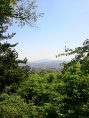 Seoul city view from mountain park. South Korea, Asia. Copy space. Vertical photo.