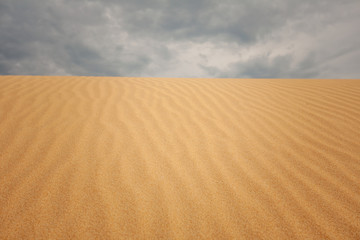 sand dunes in the desert