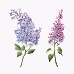 Fotobehang Beautiful vector watercolor floral set with pink lilac flowers. Stock illustration. © zenina