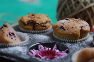 berry muffin