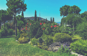 Naklejka premium Beautiful garden in the temple complex Cathedral of Georgian Orthodox Church located in Tbilisi, the capital of Georgia.