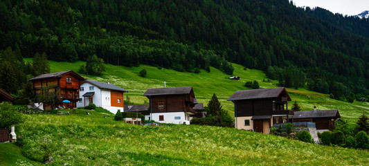 Fototapeta na wymiar Idyllic alpine landscape scenery with traditional farmhouse and fresh green meadows, blooming flowers, and snowcapped mountain tops in spring.