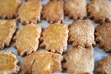 Oatmeal cookies in a tray