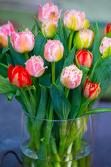 Spring bouquet with licht pink fresh garden tulips