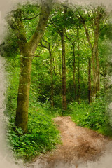 Digital watercolor painting of Beautiful landscape image of footpath winding through vibrant green forest in Summer