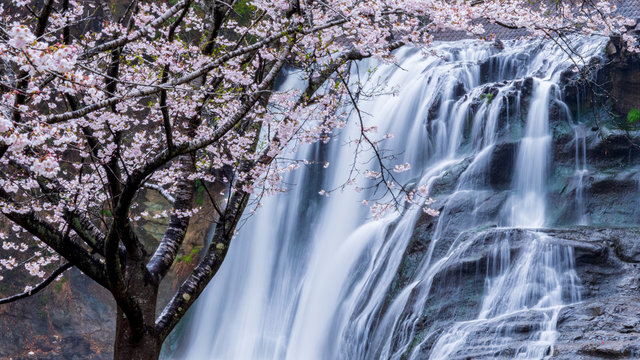 龍門滝 の画像 1 件の Stock 写真 ベクターおよびビデオ Adobe Stock 龍門滝 の画像 1 件の Stock 写真 ベクターおよびビデオ Adobe Stock