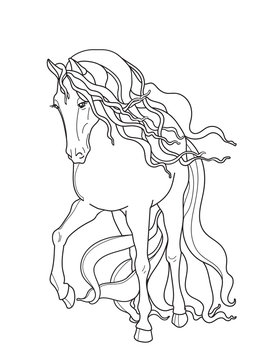 Adult coloring book,page a cute horse for relaxing.Zen art style illustration.