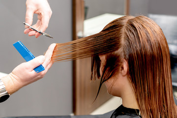 Fototapeta premium Hairdresser hands cutting long hair of woman in beauty salon.