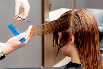 Hairdresser hands cutting long hair of woman in beauty salon.