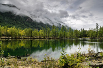 On the shore of a mountain lake, stones and forest. cloudy day, natural light