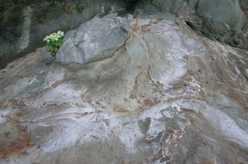 Beautiful rock surface of coast 