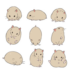 キンクマハムスター