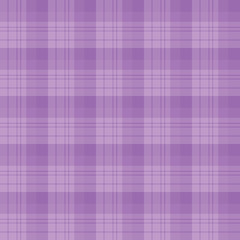 Seamless pattern in fascinating cute violet colors for plaid, fabric, textile, clothes, tablecloth and other things. Vector image.