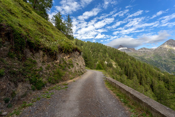 Gravel road in Swiss mountains in summer, Alpine meadow zone