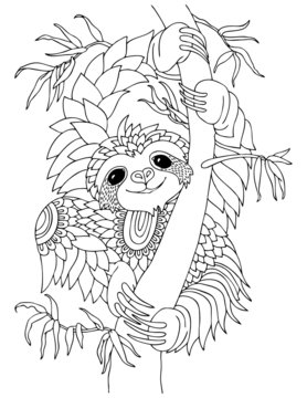 Cute smiling sloth hanging on tree branch. Hand drawn lovely sloth for adult coloring page. Vector illustration. May be used for print on t-shirt, wallpaper or poster.