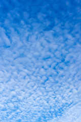 A fluffy cloudscape on bright blue sky at day time