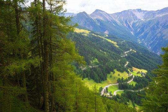 view of the valley in switzerland, summer landscape in the mountains