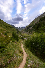 Fototapeta na wymiar trail in the mountains, alps switzerland