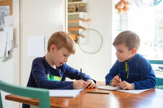 Brothers learning at home
