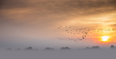 Discover the Danube Delta, Romania. Natural reserve with canyons and beautiful sunsets. Boat trips and excursions.