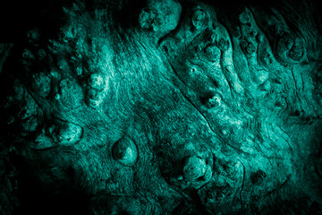 Mystical horror scary abstract background. Clumsy dirty tree with a wood texture with knots similar...