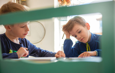Brothers learning together at home