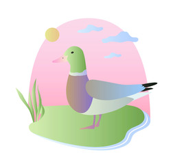 Cute vector illustration of a duck drake walk in countryside in summer, beautiful pastel colors
