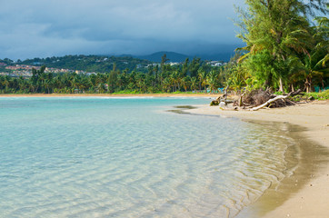 Along the shore and hills in puerto rico