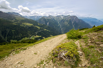 Obraz premium Gravel road in Swiss mountains in summer, Alpine meadow zone