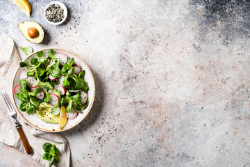 Salad of fresh vegetables and herbs. Appetizer with radish, avocado and mung bean salad. Concept of healthy eating. Vitamins for immunity. Food for vegetarians. Copy space